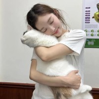视频号被人恶意举报,怎么申诉，视频号被投诉骚扰他人？别慌，这样处理最有效