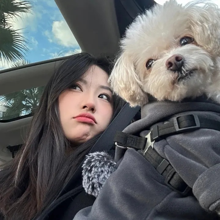 短视频舆情监控,当流量成为洪流,我们该如何从短视频舆情漩涡中自救? 短视频舆情监控,当流量成为洪流,我们该如何从短视频舆情漩涡中自救?